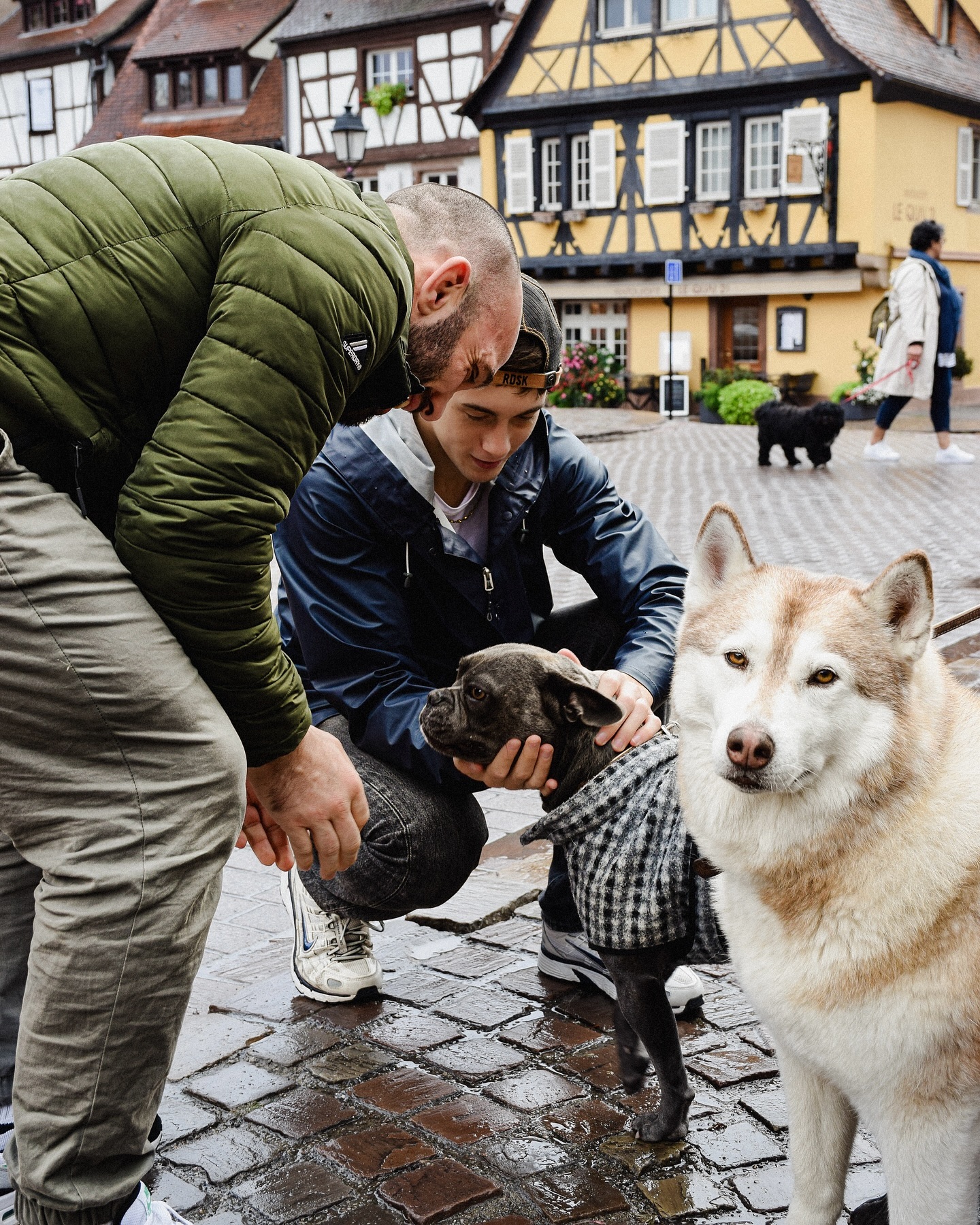 Colmar — quotidien
