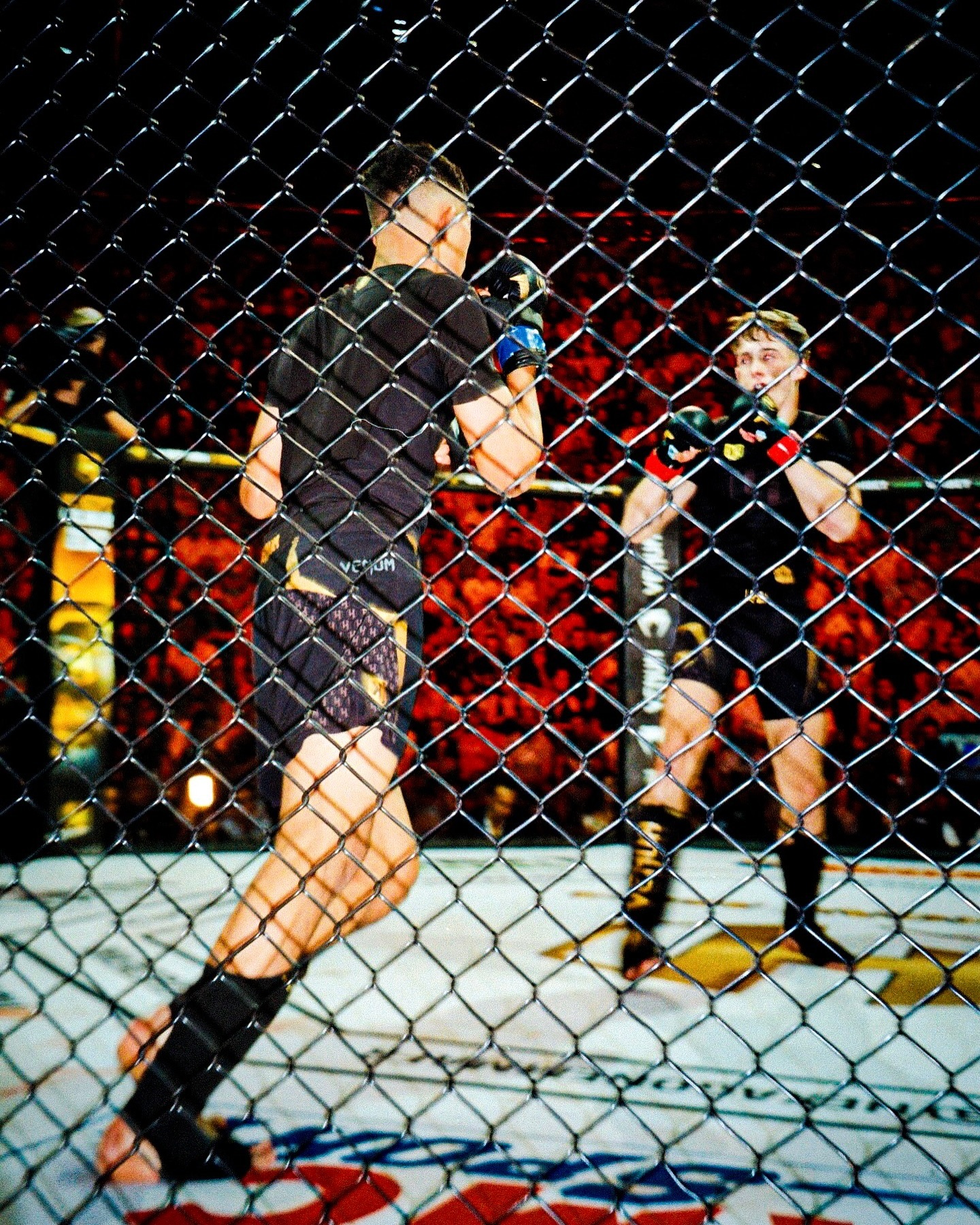 Dans la cage